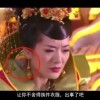 signal是啥意思?